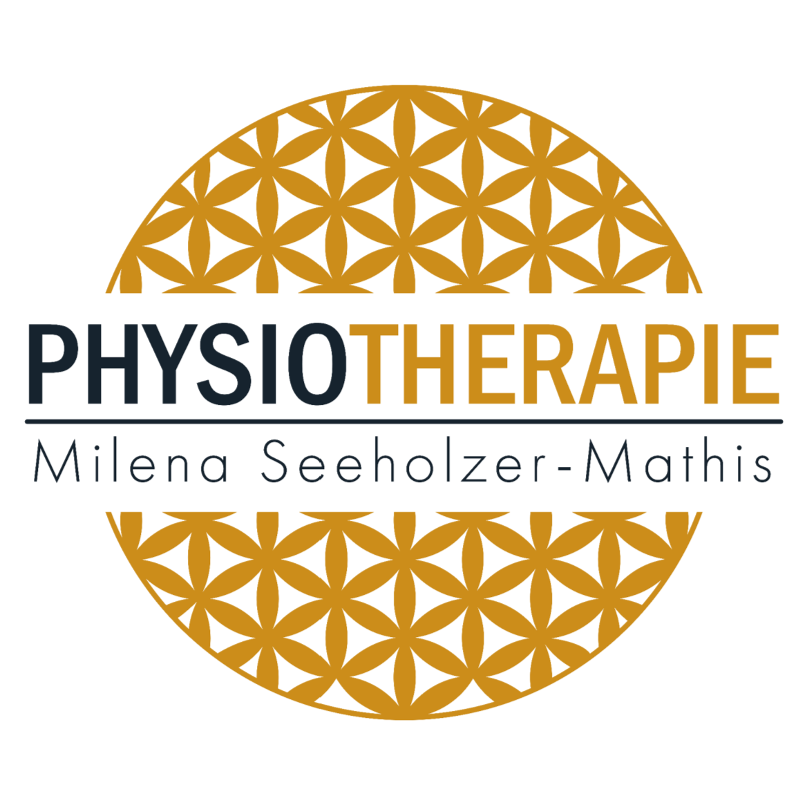 Physiotherapie Seeholzer-Mathis Logo